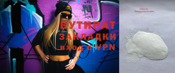 хмурый Ельня