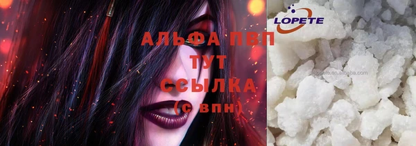хмурый Ельня