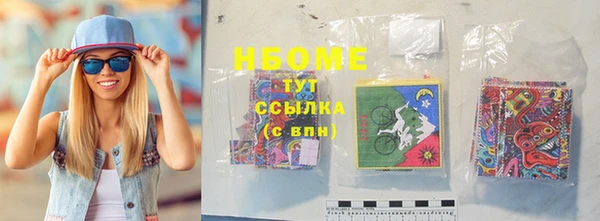 хмурый Ельня
