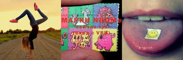 хмурый Ельня