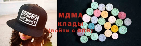 хмурый Ельня