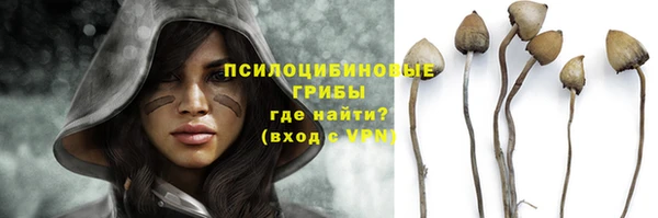 хмурый Ельня