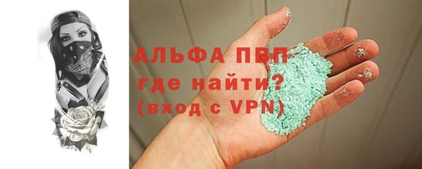 хмурый Ельня