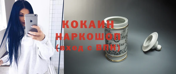 хмурый Ельня