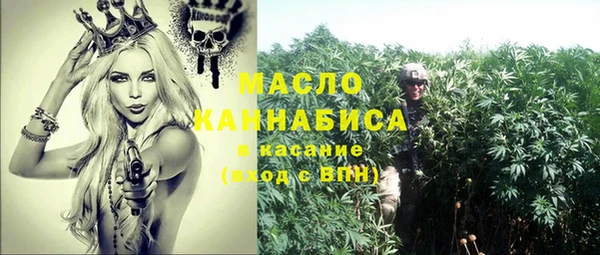 хмурый Ельня