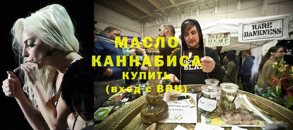 хмурый Ельня