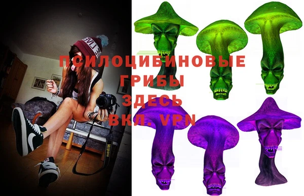 ешки Елабуга