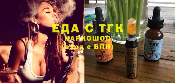 хмурый Ельня