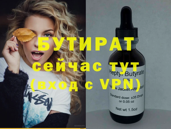 хмурый Ельня