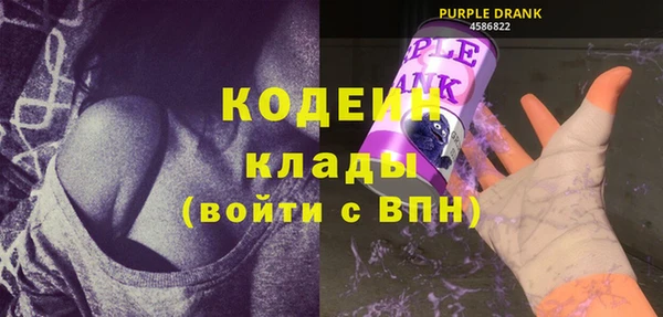 хмурый Ельня