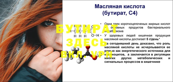 хмурый Ельня