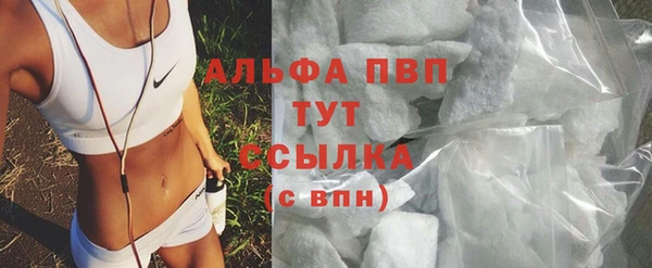 хмурый Ельня
