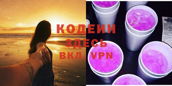 хмурый Ельня