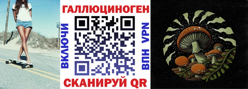 Галлюциногенные грибы прущие грибы  Каменногорск 