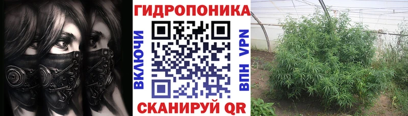 Канабис MAZAR  Каменногорск 